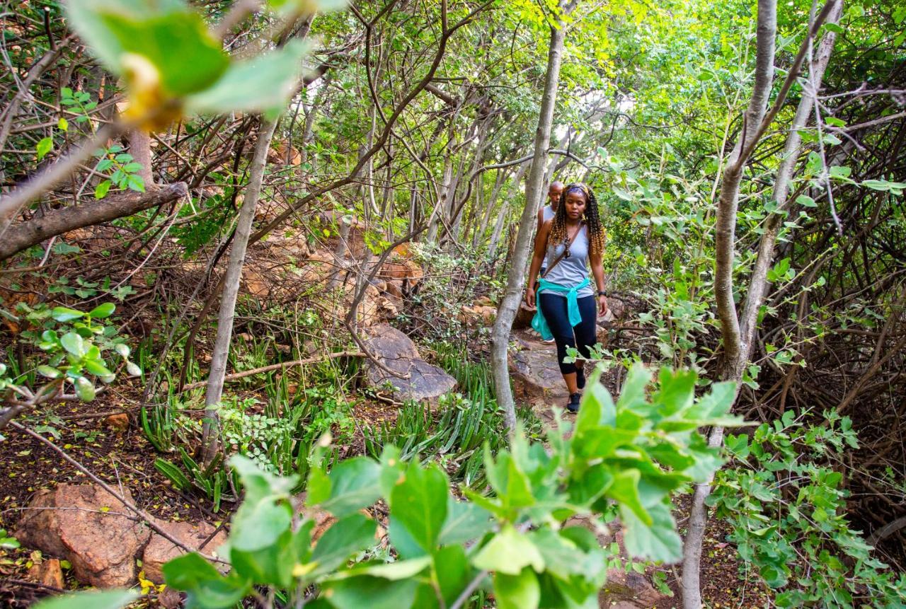 The Cliffside Boutique Getaway Vendégház Johannesburg Kültér fotó